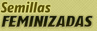 Semillas feminizadas